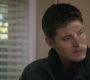 SPN_0980.jpg