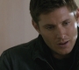 SPN_0984.jpg
