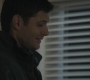 SPN_1038.jpg