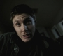 SPN_1130.jpg