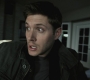 SPN_1131.jpg