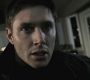 SPN_1142.jpg