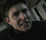 SPN_1145.jpg
