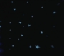 SPN_1159.jpg