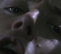 SPN_1201.jpg