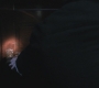 SPN_0335.jpg