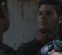 SPN_1147.jpg