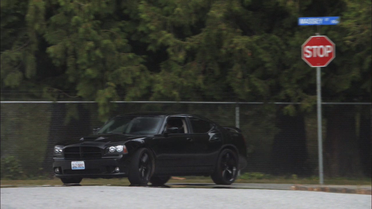 SPN_0295.jpg