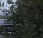 SPN_0096.jpg