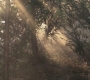 SPN_0184.jpg