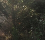 SPN_0185.jpg