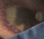 SPN_0200.jpg