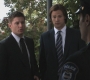 Filename=SPN_0317.jpg
Filesize=97KiB
Dimensions=1280x720
Date added=Sep 30, 2021 SPN_0317.jpg