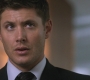 Filename=SPN_0411.jpg
Filesize=90KiB
Dimensions=1280x720
Date added=Sep 30, 2021 SPN_0411.jpg