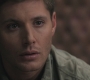 Filename=SPN_0499.jpg
Filesize=63KiB
Dimensions=1280x720
Date added=Sep 30, 2021 SPN_0499.jpg