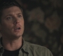 Filename=SPN_0535.jpg
Filesize=73KiB
Dimensions=1280x720
Date added=Sep 30, 2021 SPN_0535.jpg