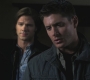 Filename=SPN_0739.jpg
Filesize=60KiB
Dimensions=1280x720
Date added=Sep 30, 2021 SPN_0739.jpg