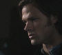 Filename=SPN_0747.jpg
Filesize=47KiB
Dimensions=1280x720
Date added=Sep 30, 2021 SPN_0747.jpg