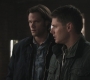 Filename=SPN_0770.jpg
Filesize=71KiB
Dimensions=1280x720
Date added=Sep 30, 2021 SPN_0770.jpg
