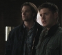 Filename=SPN_0777.jpg
Filesize=70KiB
Dimensions=1280x720
Date added=Sep 30, 2021 SPN_0777.jpg