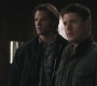Filename=SPN_0782.jpg
Filesize=76KiB
Dimensions=1280x720
Date added=Sep 30, 2021 SPN_0782.jpg