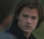 Filename=SPN_1368.jpg
Filesize=61KiB
Dimensions=1280x720
Date added=Sep 30, 2021 SPN_1368.jpg
