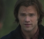 Filename=SPN_1372.jpg
Filesize=54KiB
Dimensions=1280x720
Date added=Sep 30, 2021 SPN_1372.jpg