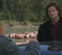 Filename=SPN_1378.jpg
Filesize=84KiB
Dimensions=1280x720
Date added=Sep 30, 2021 SPN_1378.jpg