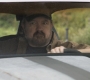 SPN_0186.jpg