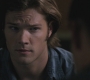 SPN_0769.jpg