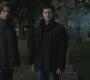 Filename=SPN_1076.jpg
Filesize=97KiB
Dimensions=1280x720
Date added=Sep 30, 2021 SPN_1076.jpg
