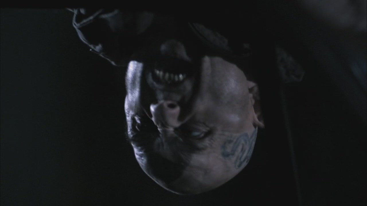 SPN_1120.jpg