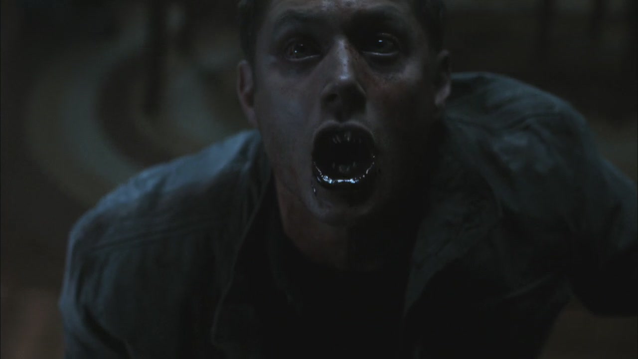 SPN_1211.jpg