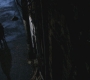 SPN_0146.jpg