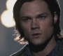 SPN_0513.jpg