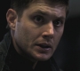 SPN_1024.jpg