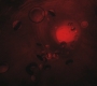 SPN_1039.jpg