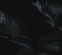 SPN_1132.jpg