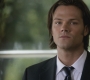 Filename=SPN_0189.jpg
Filesize=75KiB
Dimensions=1280x720
Date added=Sep 30, 2021 SPN_0189.jpg