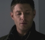 SPN_0387.jpg