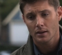 Filename=SPN_0755.jpg
Filesize=72KiB
Dimensions=1280x720
Date added=Sep 30, 2021 SPN_0755.jpg