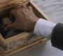 Filename=SPN_0766.jpg
Filesize=82KiB
Dimensions=1280x720
Date added=Sep 30, 2021 SPN_0766.jpg