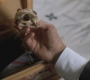 Filename=SPN_0769.jpg
Filesize=62KiB
Dimensions=1280x720
Date added=Sep 30, 2021 SPN_0769.jpg