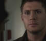 Filename=SPN_0785.jpg
Filesize=56KiB
Dimensions=1280x720
Date added=Sep 30, 2021 SPN_0785.jpg