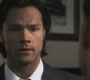 Filename=SPN_0790.jpg
Filesize=58KiB
Dimensions=1280x720
Date added=Sep 30, 2021 SPN_0790.jpg
