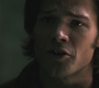 Filename=SPN_1239.jpg
Filesize=53KiB
Dimensions=1280x720
Date added=Sep 30, 2021 SPN_1239.jpg