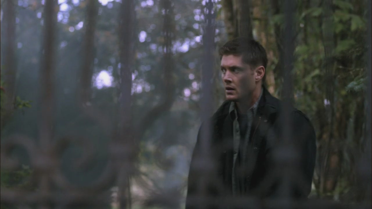 SPN_0462.jpg