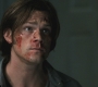 SPN_0135.jpg