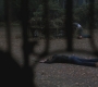 SPN_0481.jpg