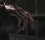 SPN_0794.jpg